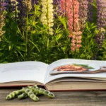 Lupins: The Nutritional Powerhouse You Need to Know About